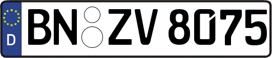 BN-ZV8075