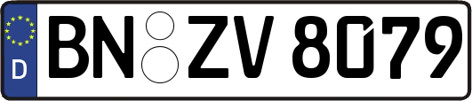BN-ZV8079