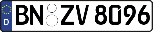 BN-ZV8096