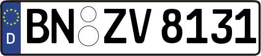 BN-ZV8131