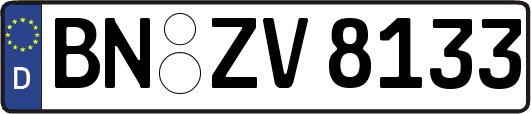 BN-ZV8133