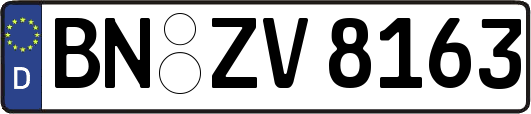 BN-ZV8163