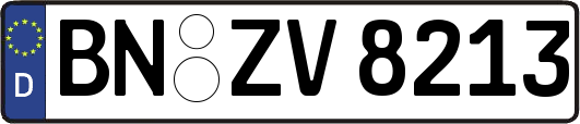 BN-ZV8213