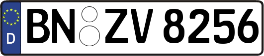 BN-ZV8256