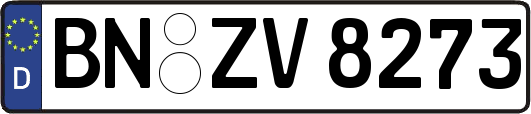 BN-ZV8273