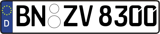 BN-ZV8300