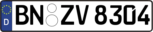 BN-ZV8304