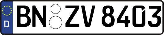 BN-ZV8403