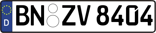 BN-ZV8404