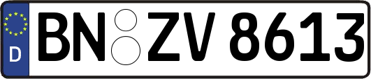 BN-ZV8613