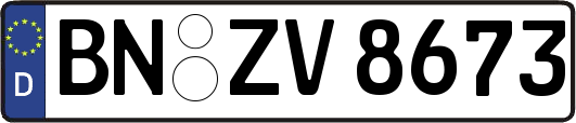 BN-ZV8673