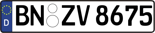 BN-ZV8675