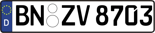 BN-ZV8703