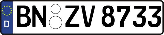 BN-ZV8733