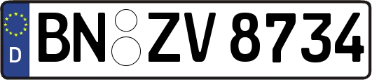 BN-ZV8734