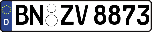 BN-ZV8873