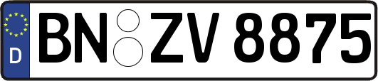 BN-ZV8875