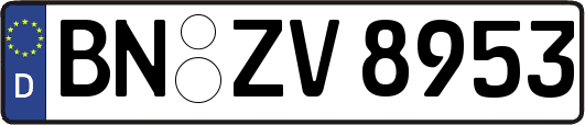 BN-ZV8953