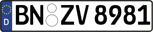 BN-ZV8981