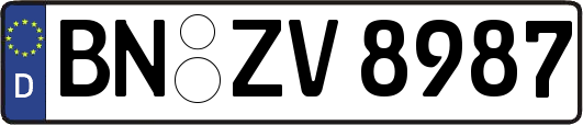 BN-ZV8987