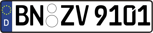 BN-ZV9101