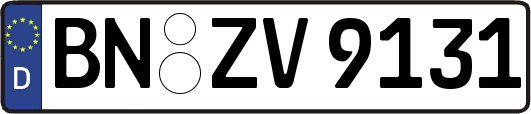 BN-ZV9131