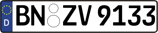 BN-ZV9133