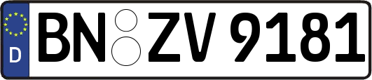 BN-ZV9181