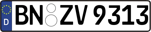BN-ZV9313