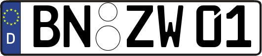 BN-ZW01