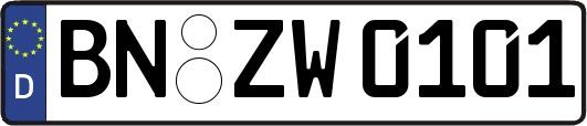 BN-ZW0101