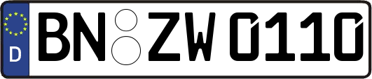 BN-ZW0110