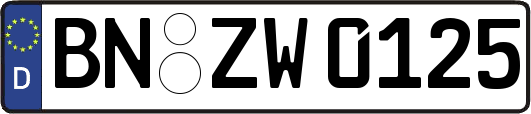 BN-ZW0125