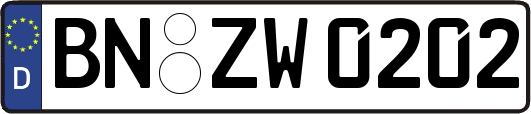BN-ZW0202
