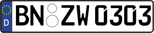 BN-ZW0303