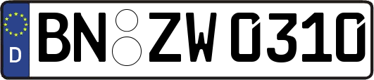 BN-ZW0310