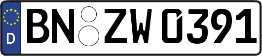 BN-ZW0391