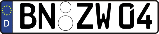 BN-ZW04