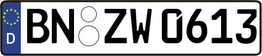 BN-ZW0613