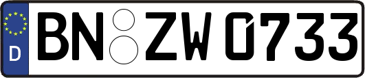 BN-ZW0733