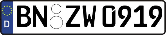 BN-ZW0919