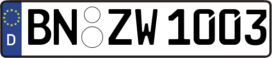 BN-ZW1003