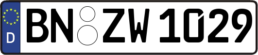 BN-ZW1029