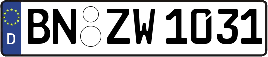 BN-ZW1031