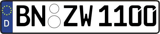 BN-ZW1100