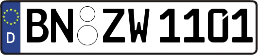 BN-ZW1101