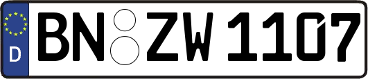 BN-ZW1107
