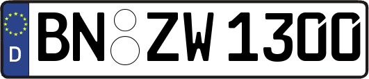 BN-ZW1300
