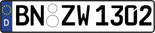 BN-ZW1302