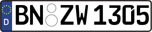 BN-ZW1305
